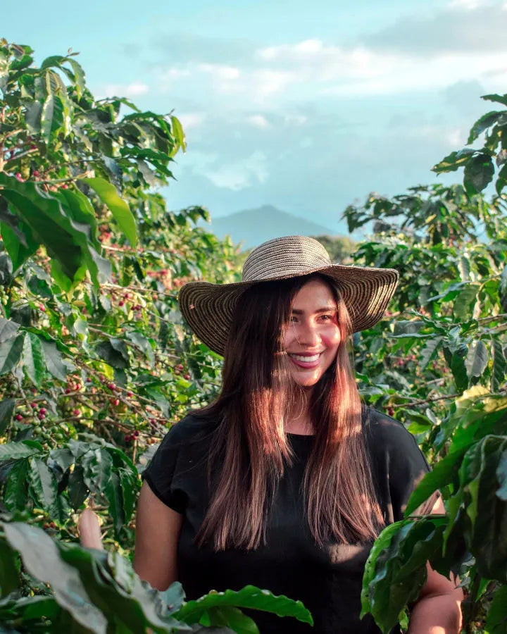 Colombia Ana María Donneys Natural/Honey