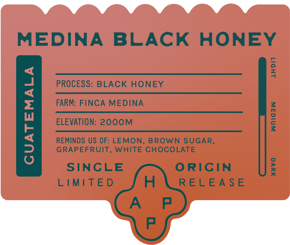 Guatemala Finca Medina Black Honey