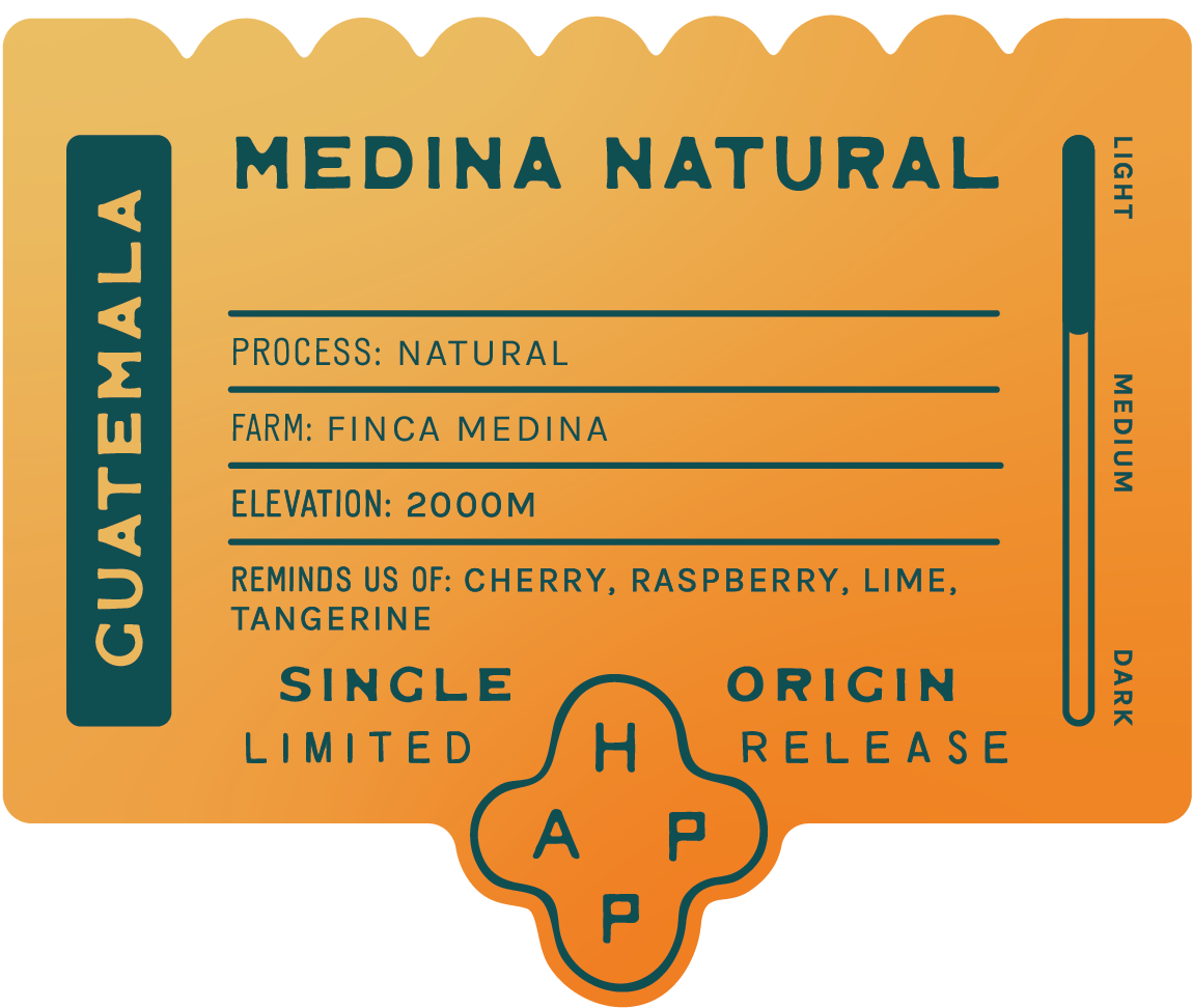 Guatemala Finca Medina Natural