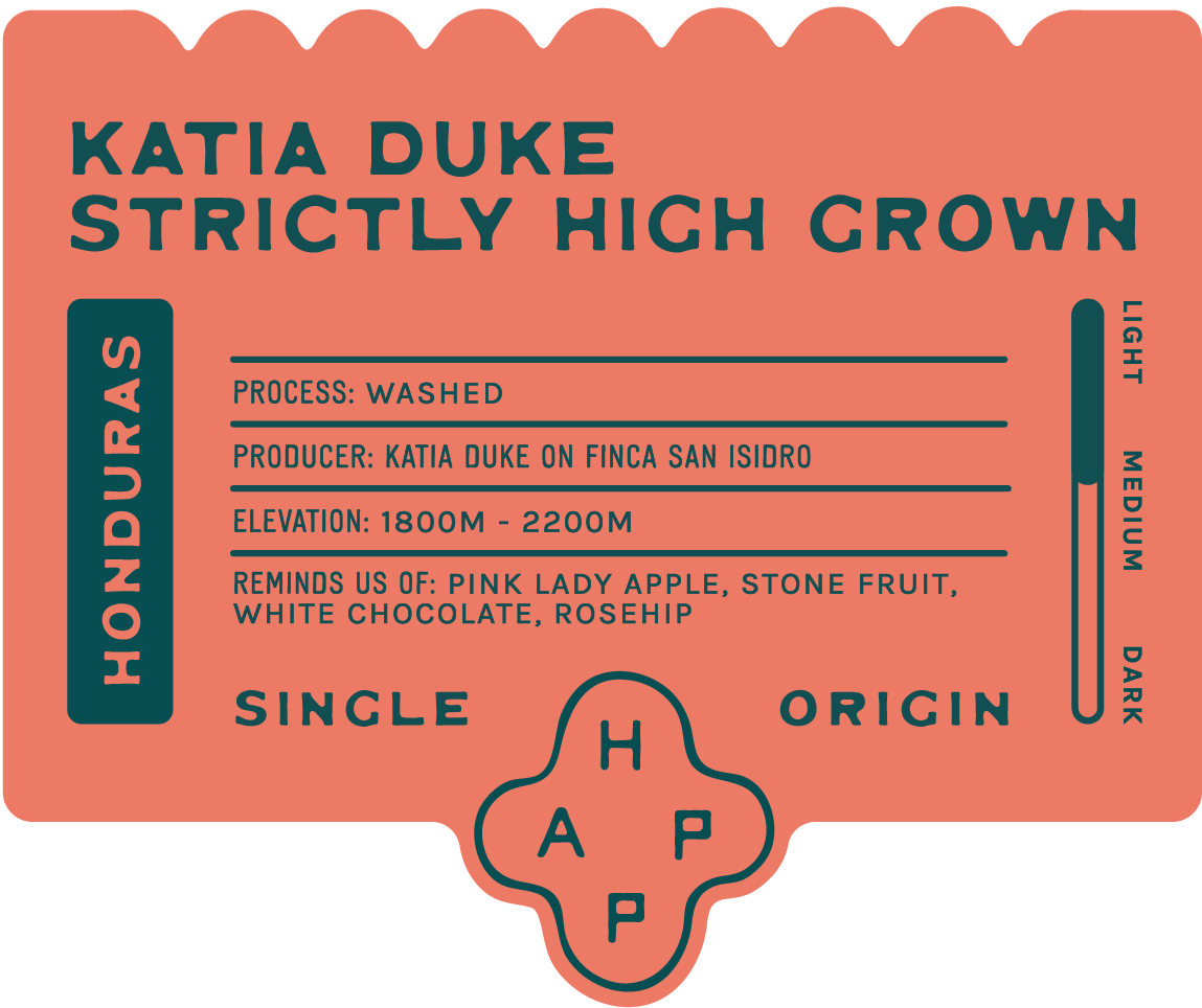 Honduras San Isidro Washed