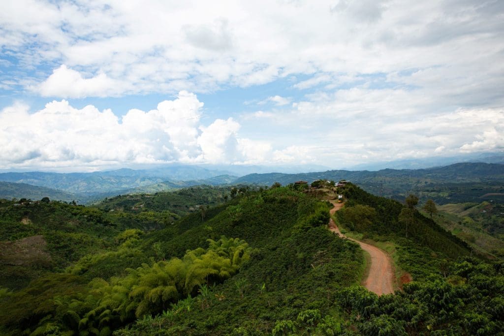 Colombia La Palmera