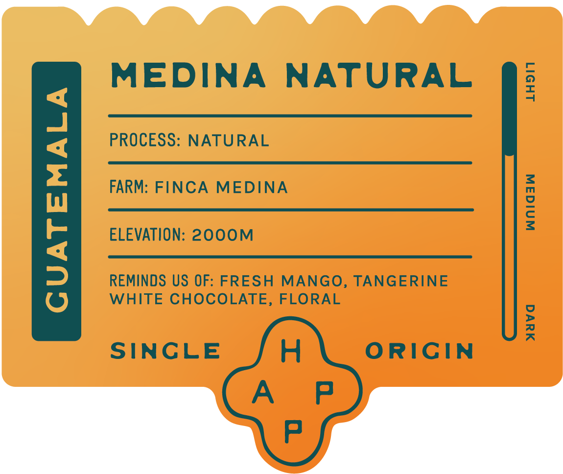 Guatemala Finca Medina