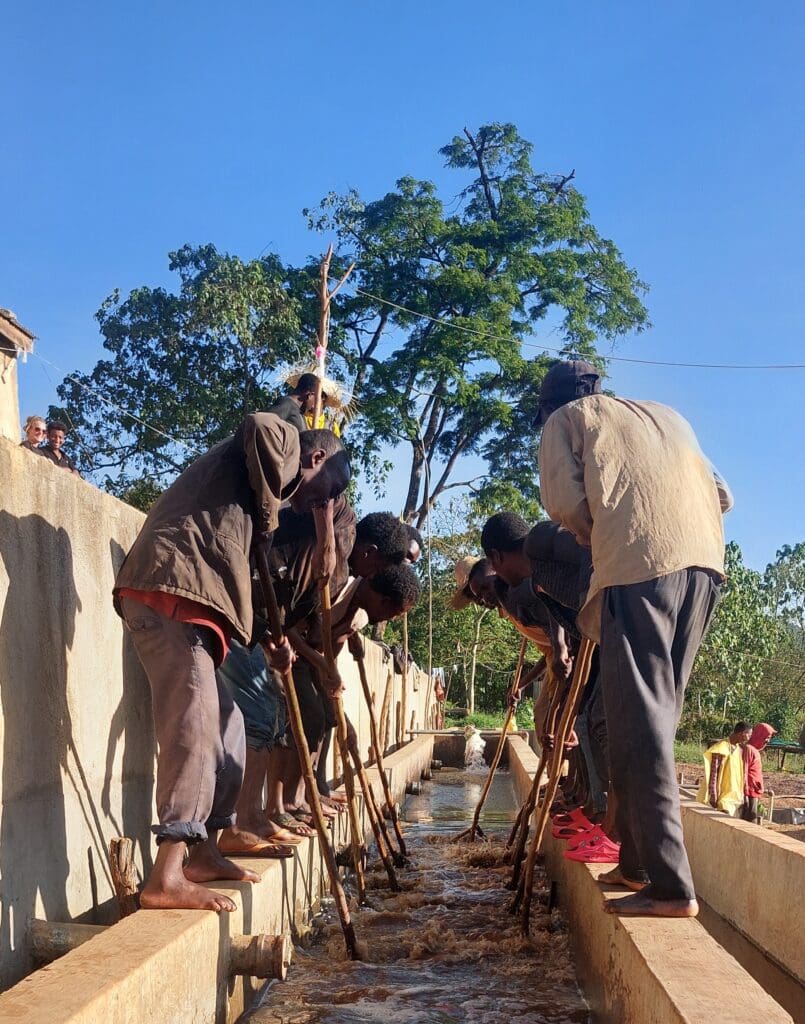 Ethiopia Guji Megadu Natural