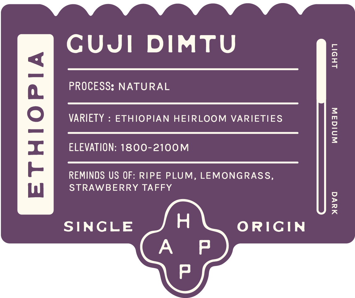 Ethiopia Guji Dimtu Natural