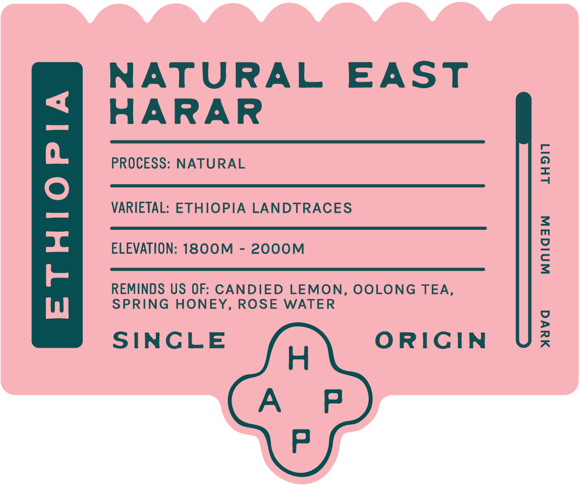 Ethiopia East Harar Natural