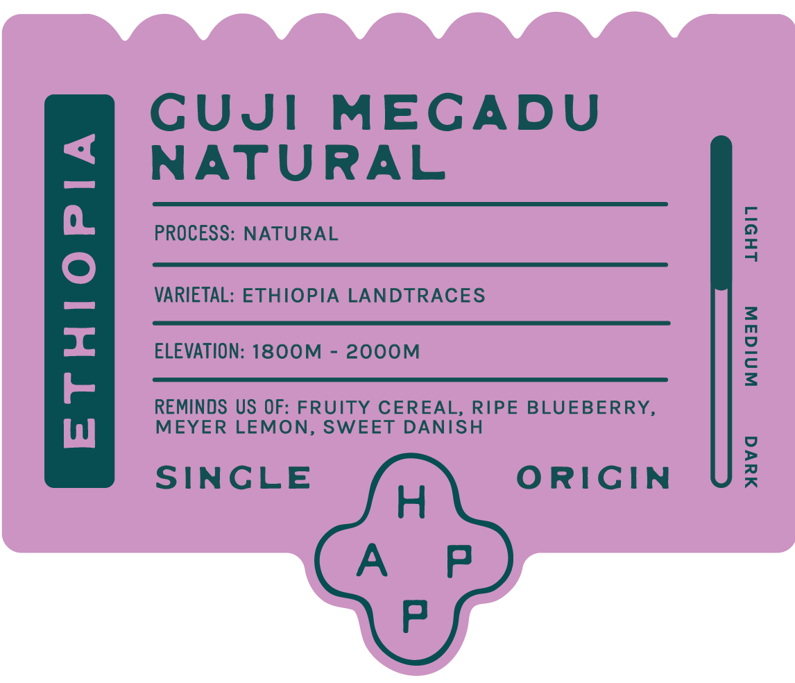 Ethiopia Guji Megadu Natural