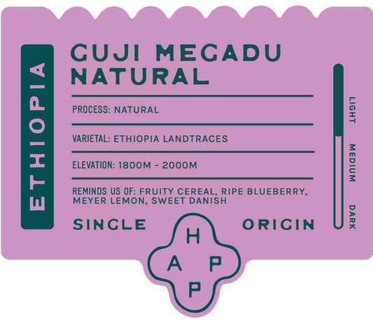 Ethiopia Guji Megadu Natural