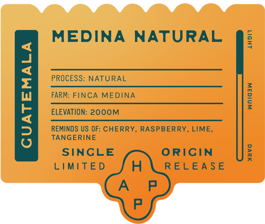 Guatemala Finca Medina Natural