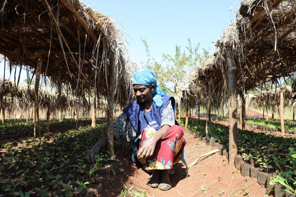 Ethiopia Guji Megadu Natural