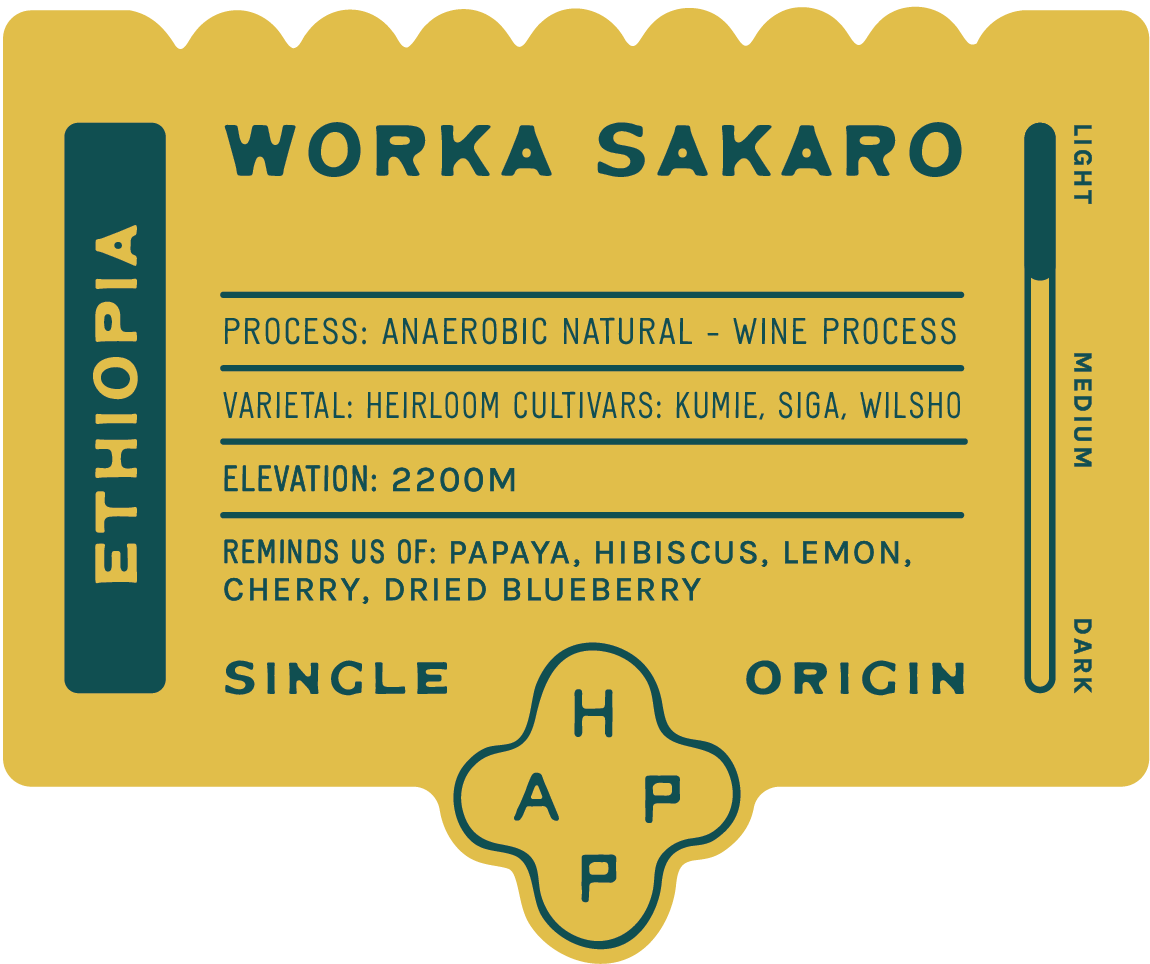 Ethiopia Worka Sakaro Anaerobic Natural