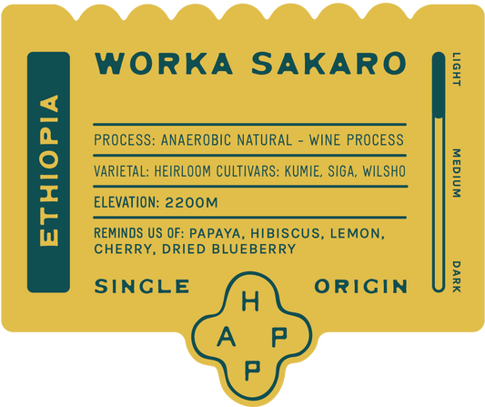 Ethiopia Worka Sakaro Anaerobic Natural
