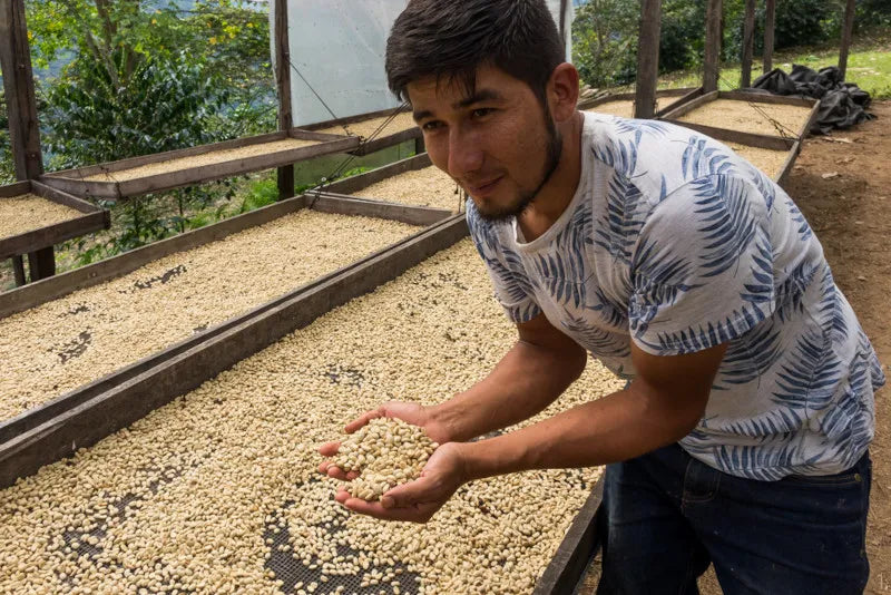 Peru Germán Carranza Barboza Natural